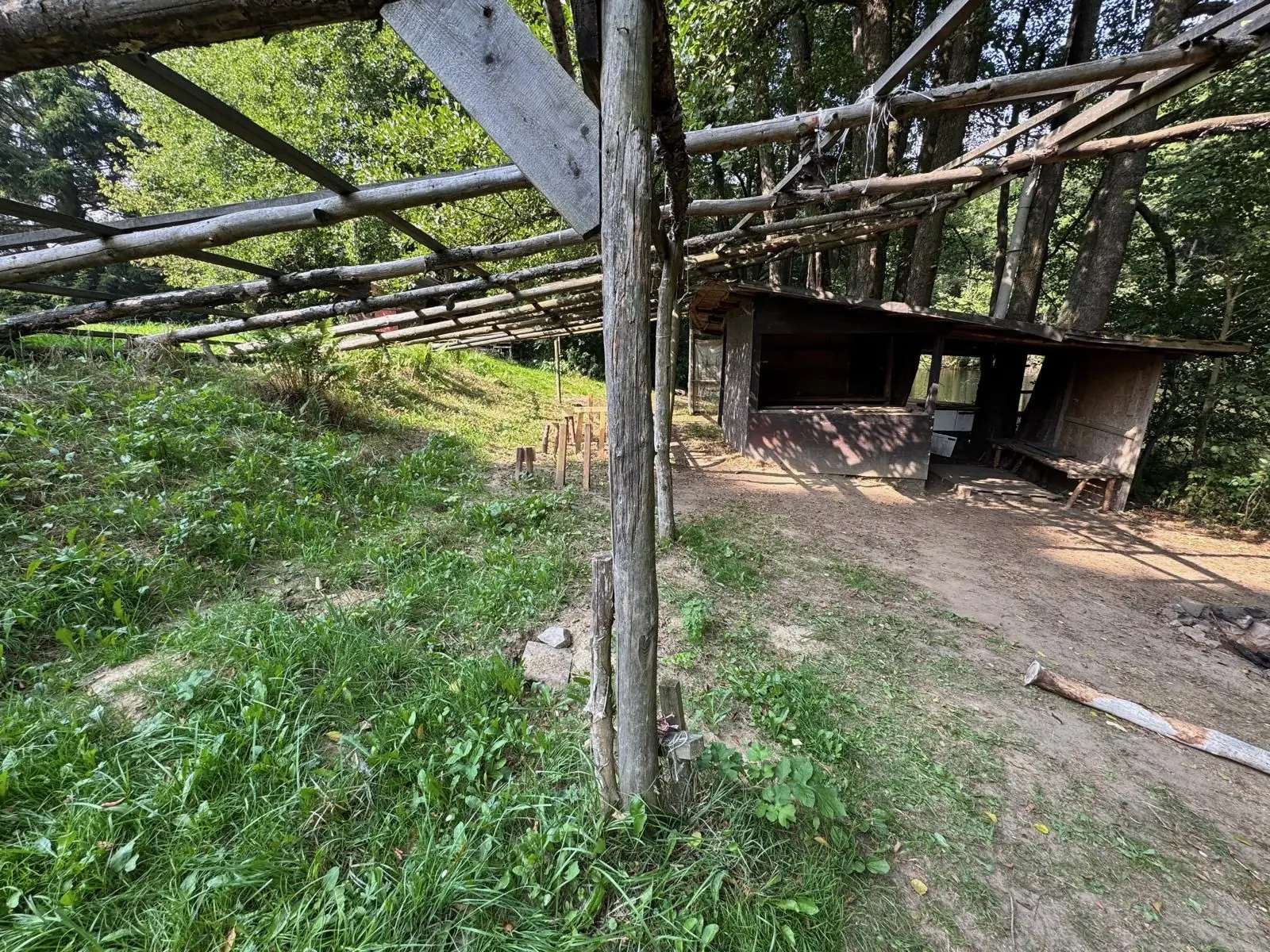 0. ročník