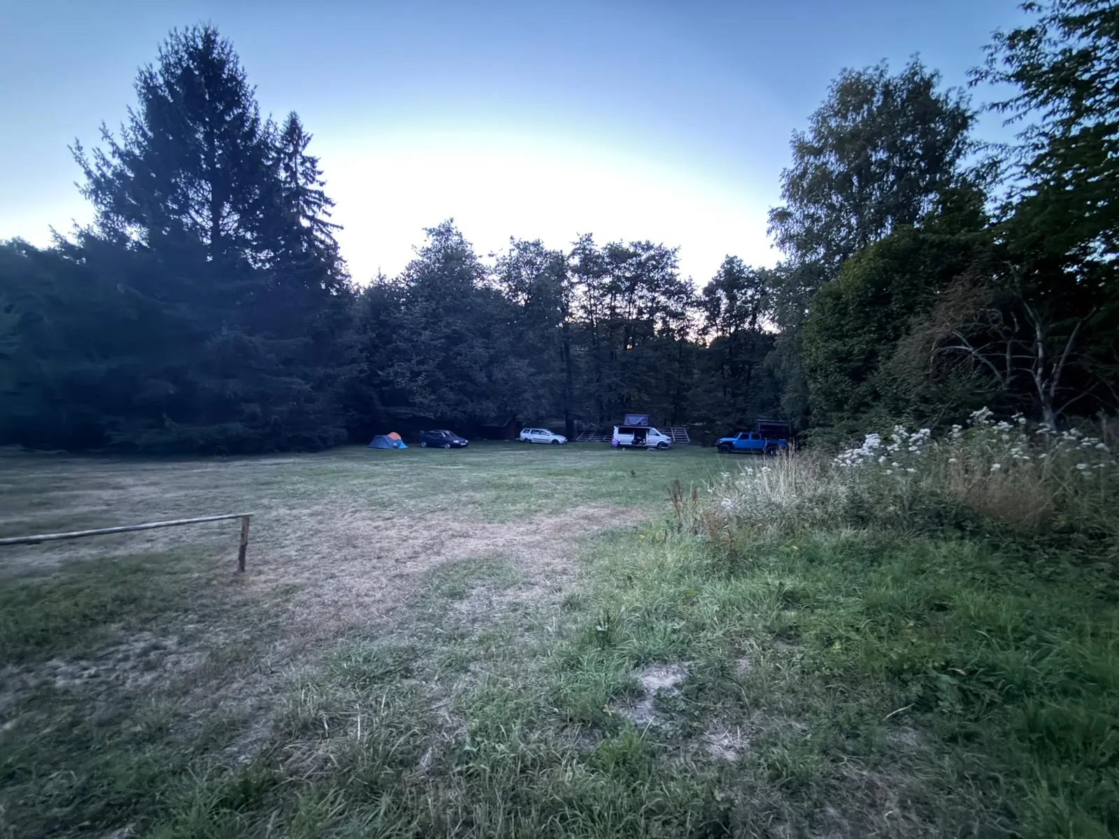 1. ročník
